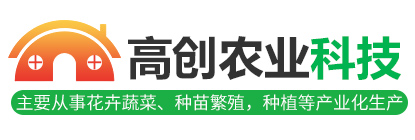 思博集團(tuán)